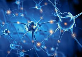 Neurology