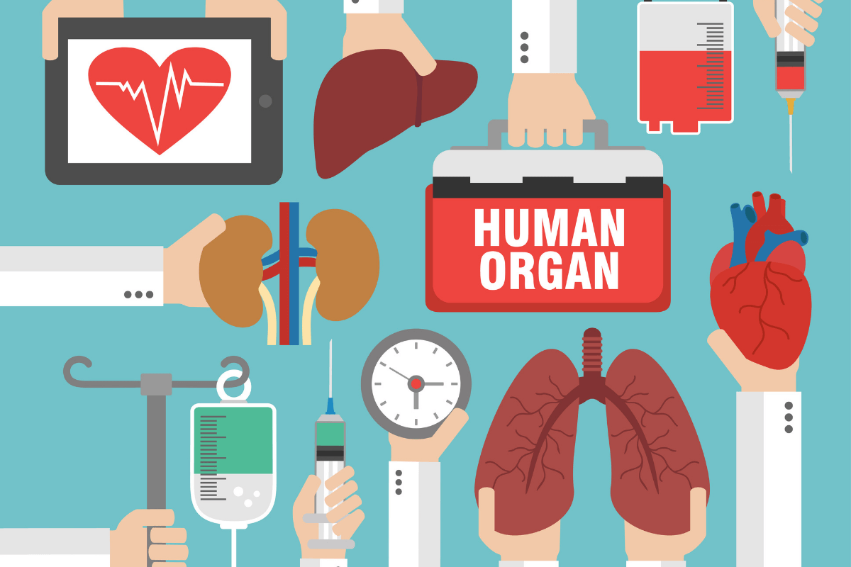 Organ Transplant