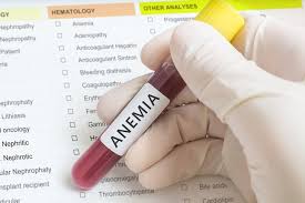Anaemia Profile