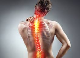 Spine Back Pain Sciatica Spondylosis Slip Disc