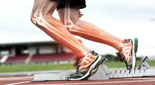 Sports Injury ACL PCL Meniscus Shoulder Arthroscopy