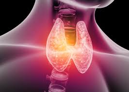 Thyroid PCOS menopause Duphaston Myo-Inositol