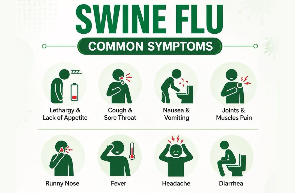 Swine Flu H1N1 symptoms including fever cough sore throat headache body aches and tiredness